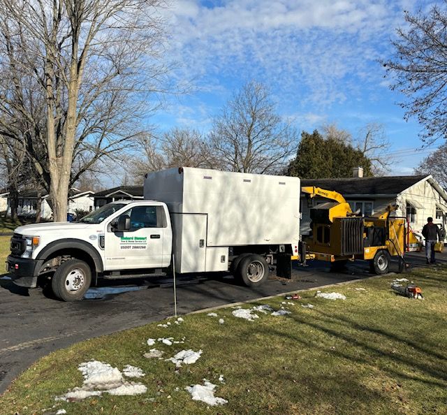 Our Work Richard Stewart Tree Service