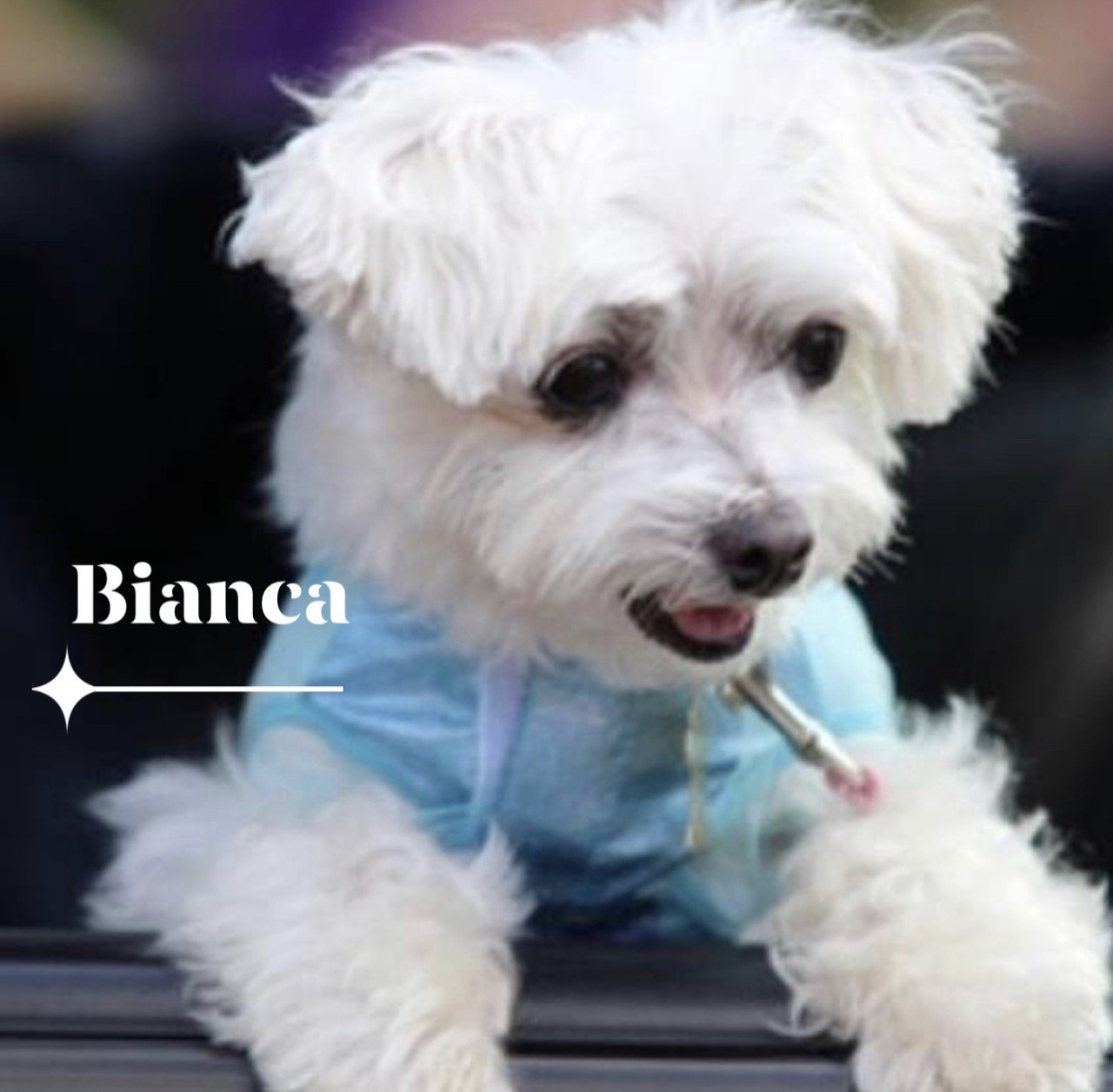 Bordentown Home for Funerals Bordentown, NJ