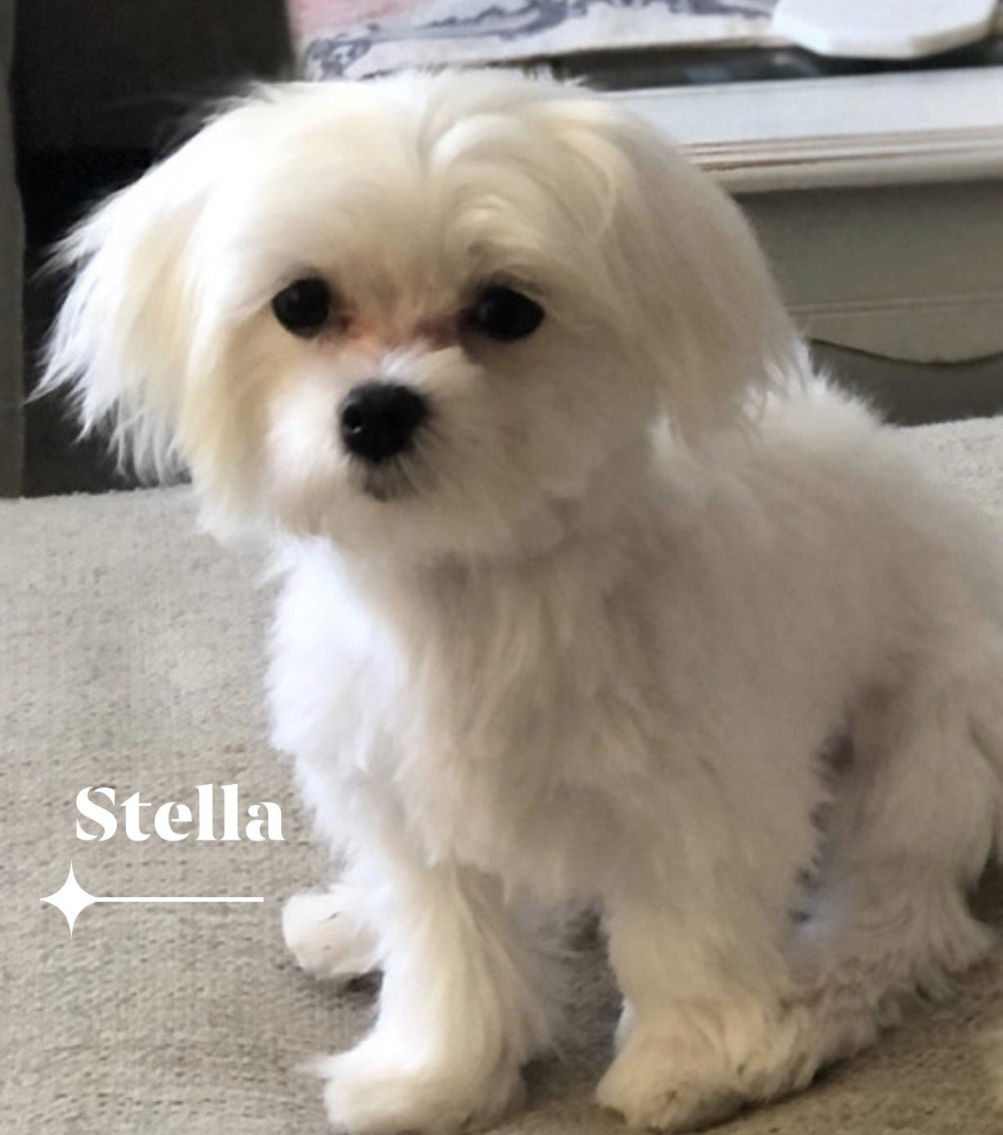 Bordentown Home for Funerals Bordentown, NJ