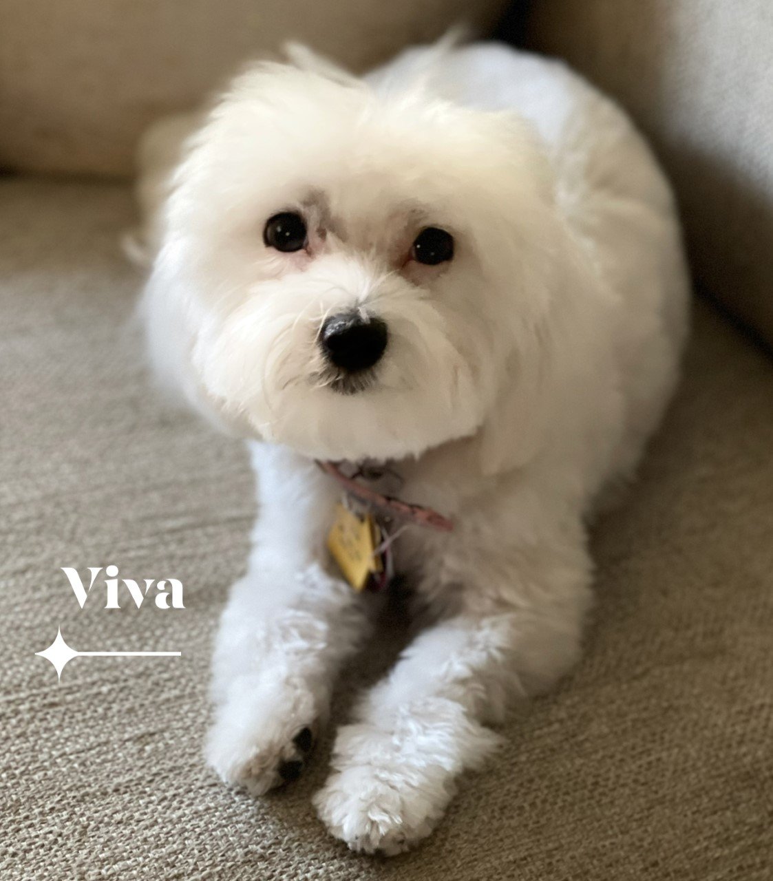 Bordentown Home for Funerals Bordentown, NJ