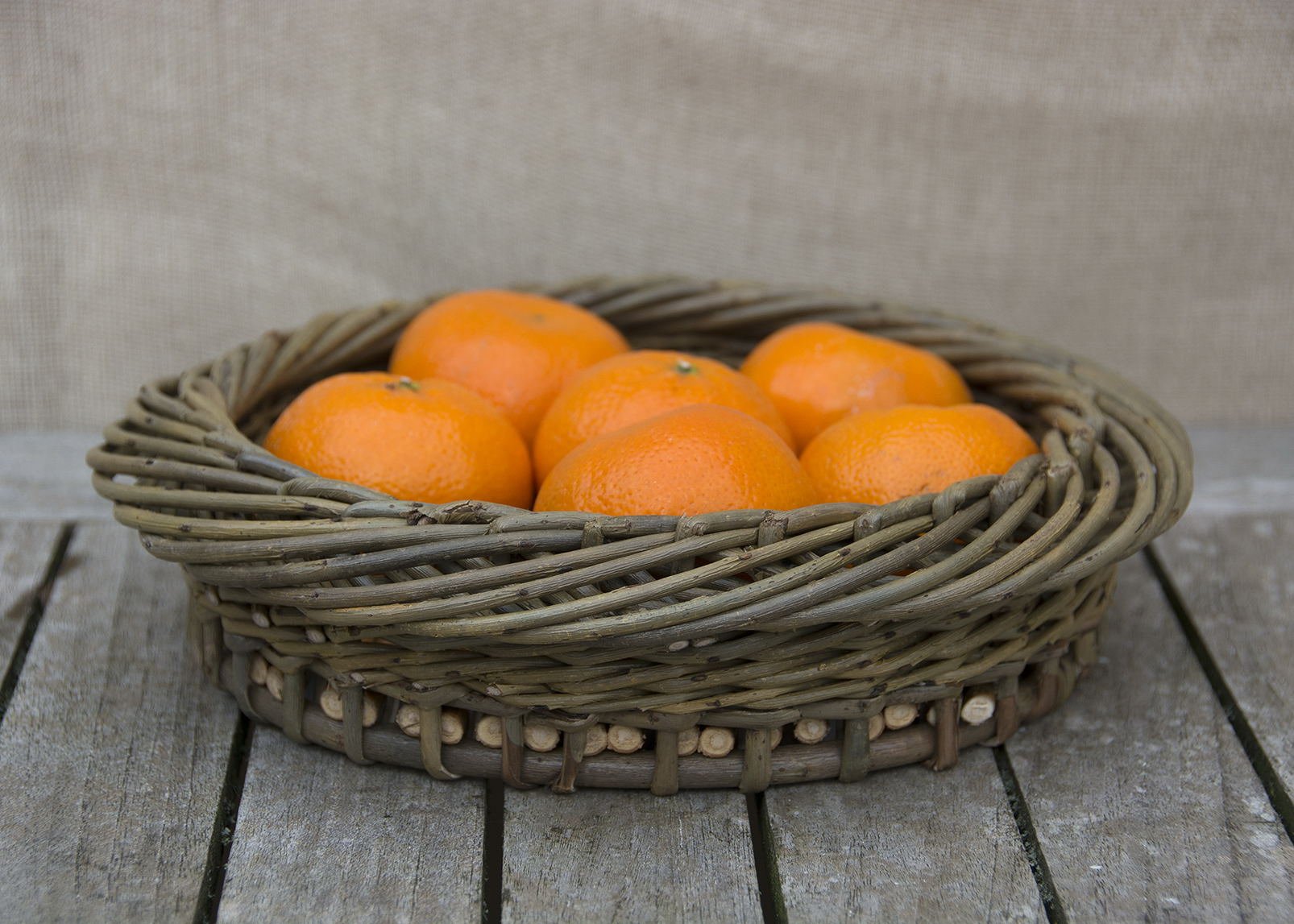 Jenny Crisp Basket Maker & Willow Grower