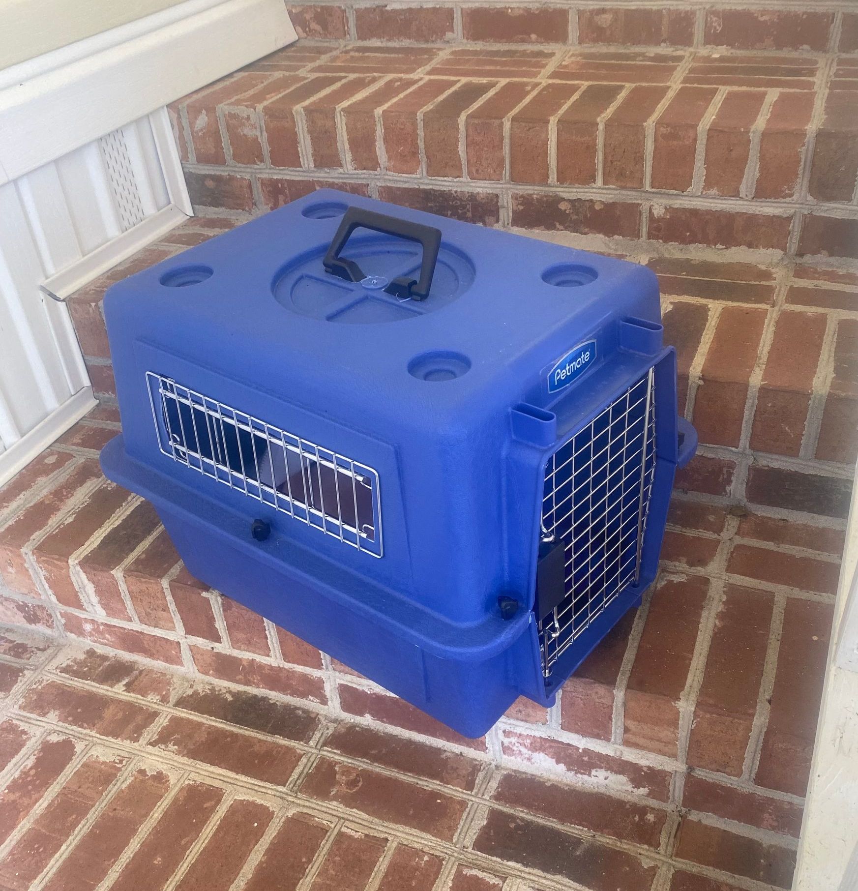 Options for bringing your puppy home