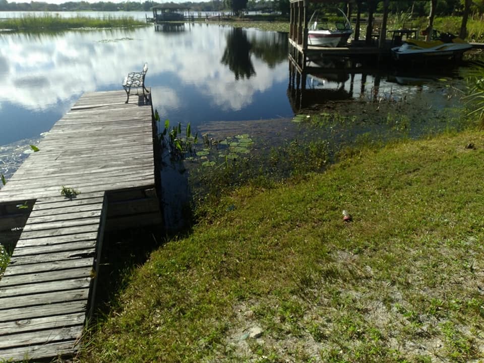 Lakefront Services Central FL Custom Lakefronts and Tree Care LLC