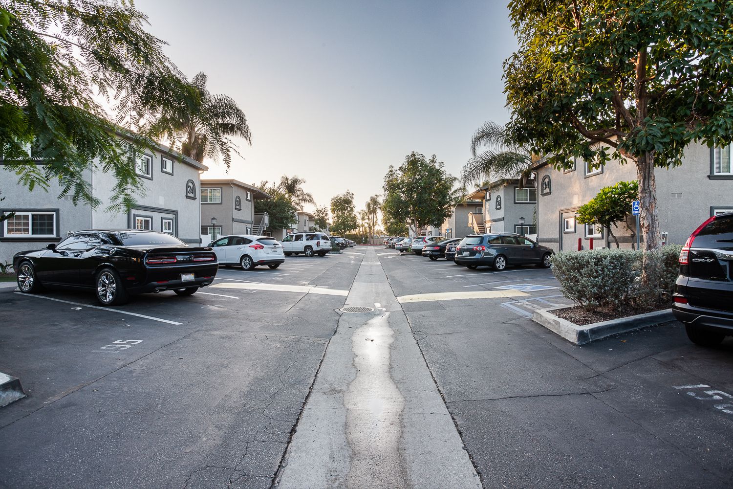 Gallery Pointe Pacific Westminster, CA