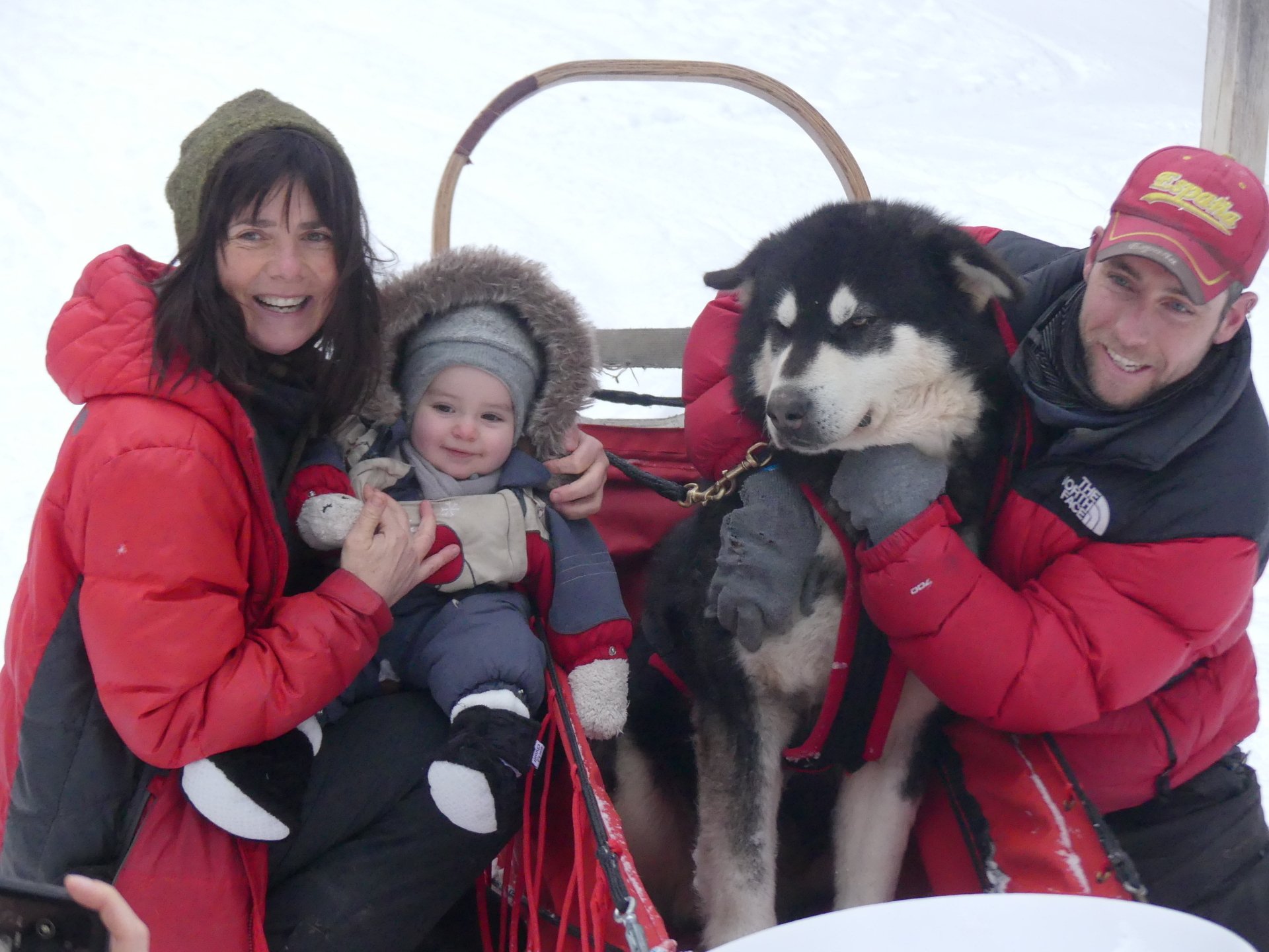 Traineau à chiens à L'Anse Saint Jean Entre Chien et Loup