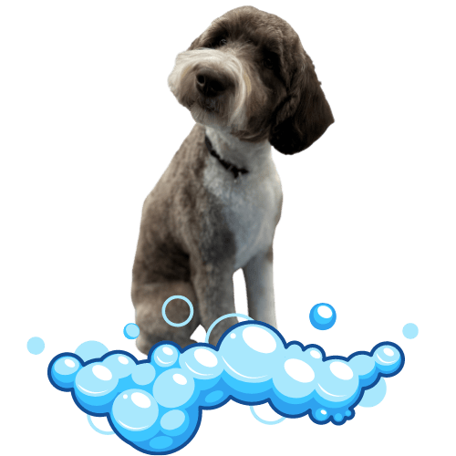 Mobile Pet Groomers Mobile Dog Grooming Long Island