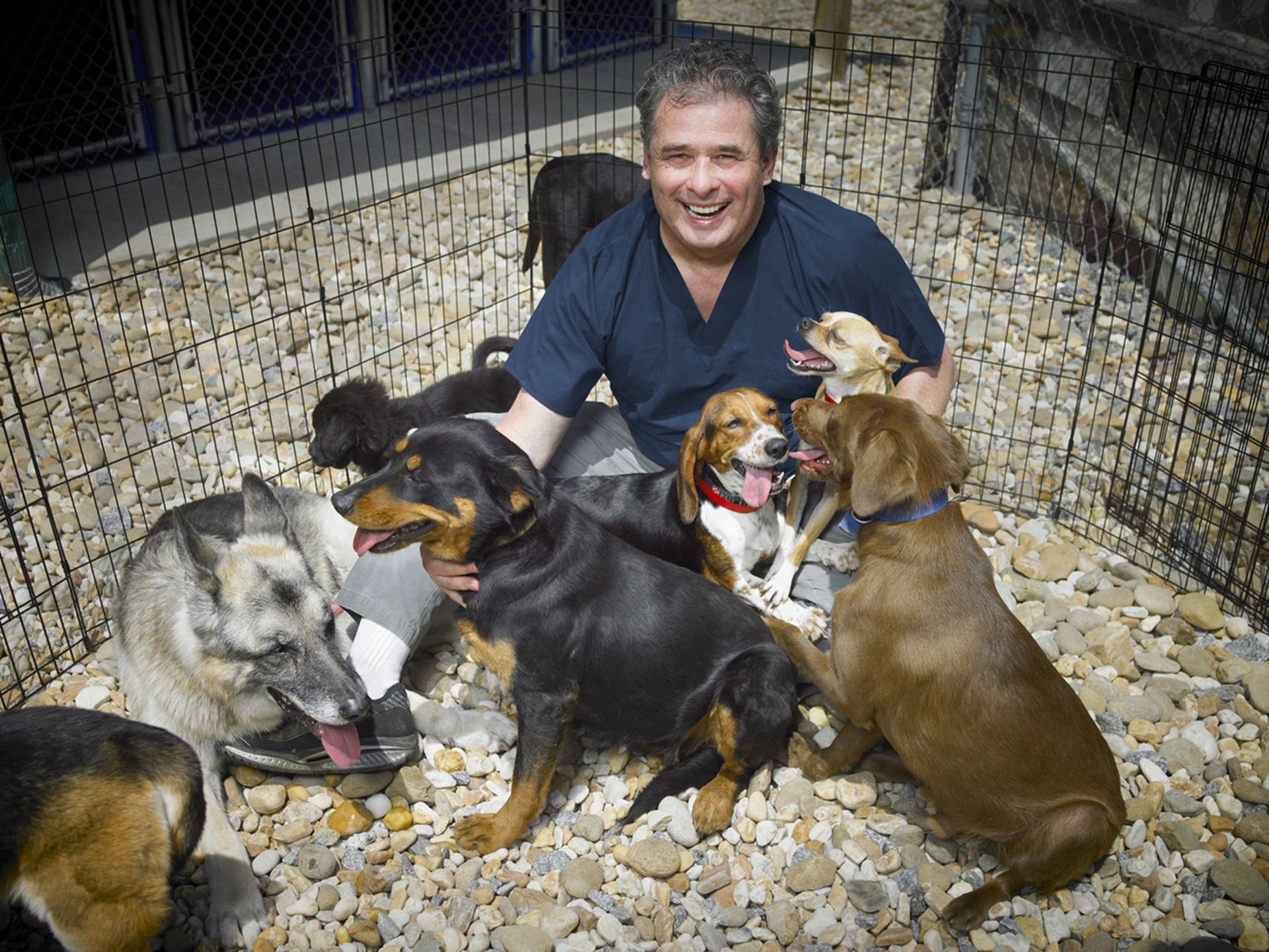 Vet Clinic Canton, GA Acres Mill Veterinary Clinic