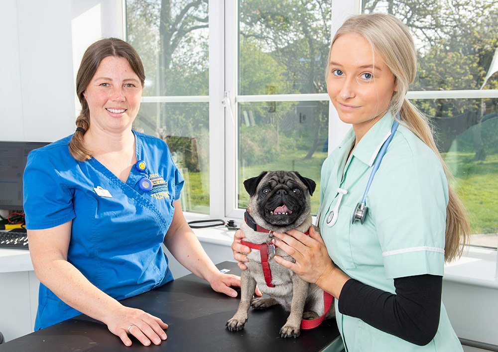 Whitby Vets The Beck Veterinary Practice