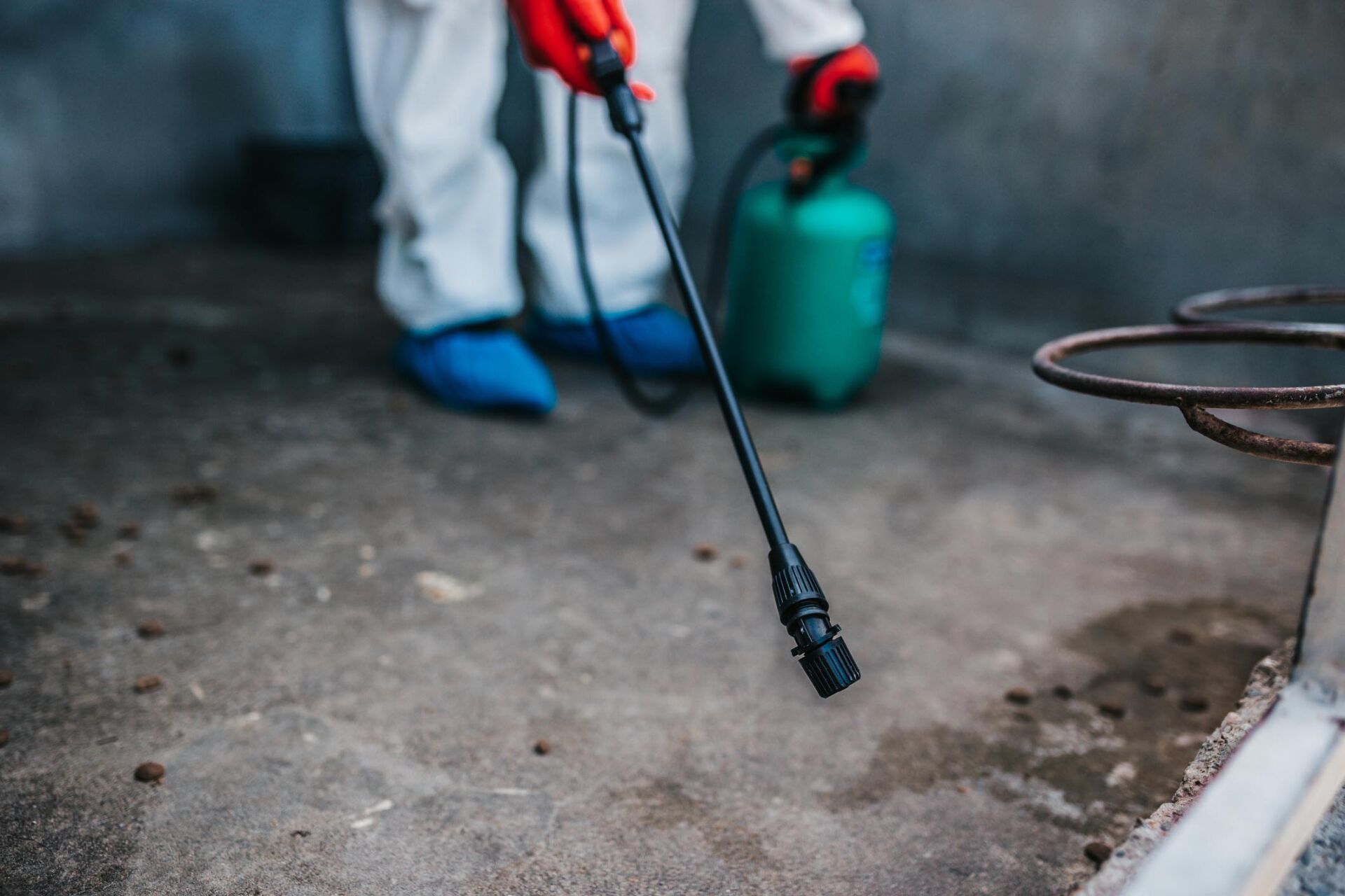 Pest Prevention I Tallahassee, FL l Rock Solid Termite and Pest Control