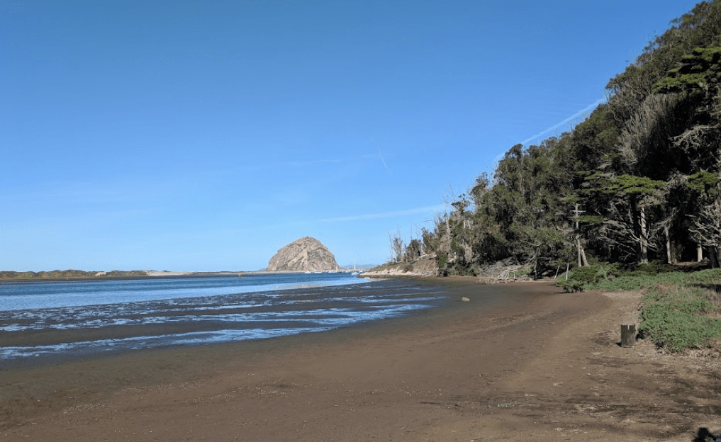 Morro Bay State Park is located in Morro Bay, CA, on the Central Coast.