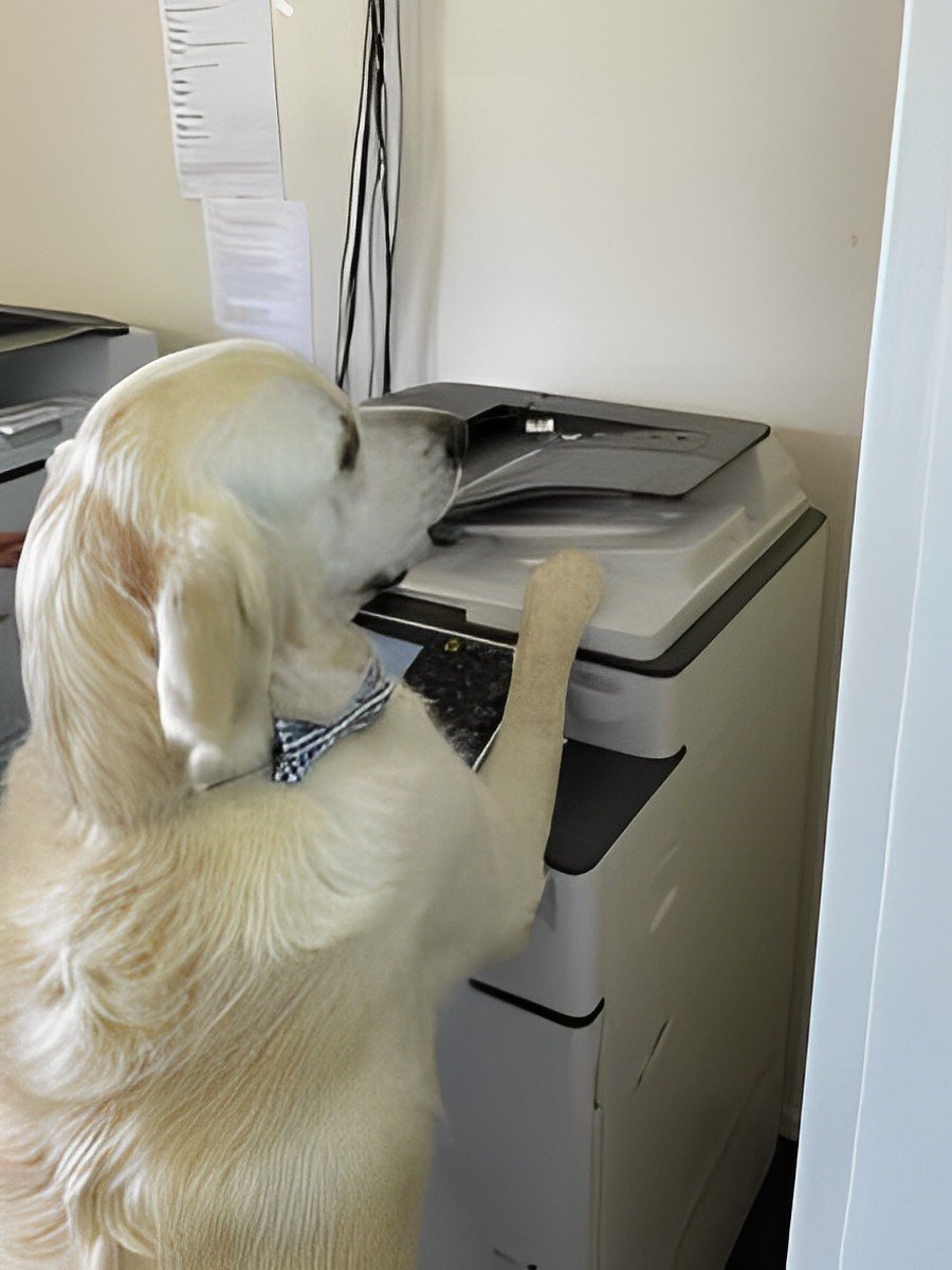 About Us Best Home Loans