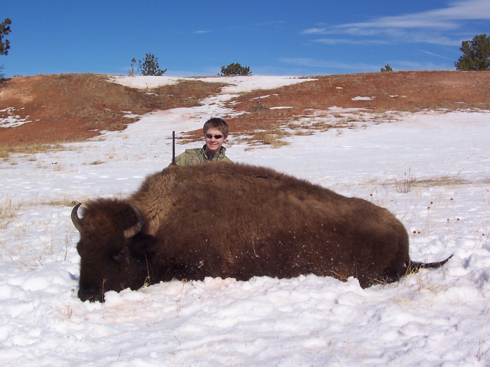 Buffalo hunting, South Dakota, Guided Bison hunt in South Dakota