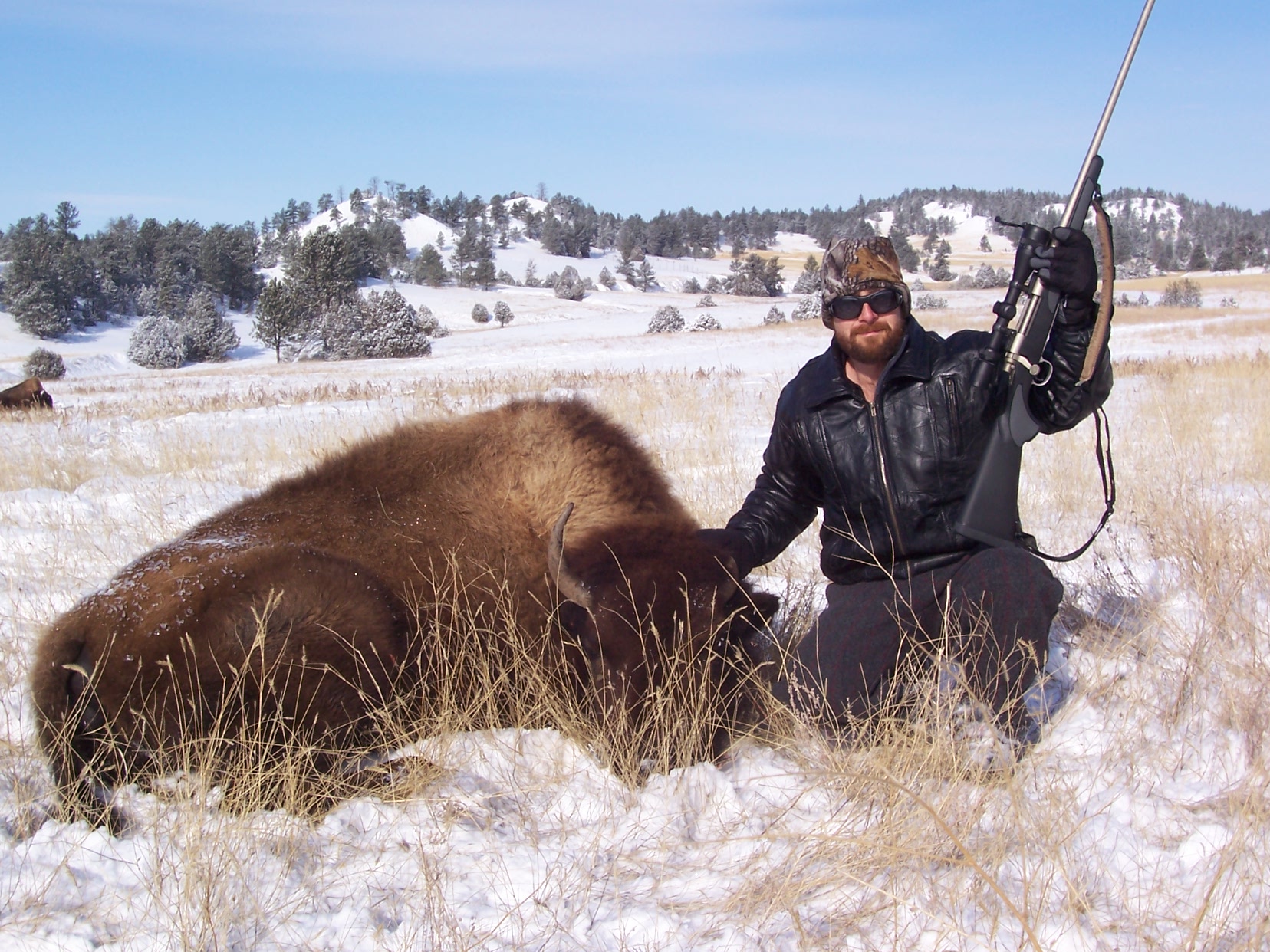Buffalo hunting, South Dakota, Guided Bison hunt in South Dakota