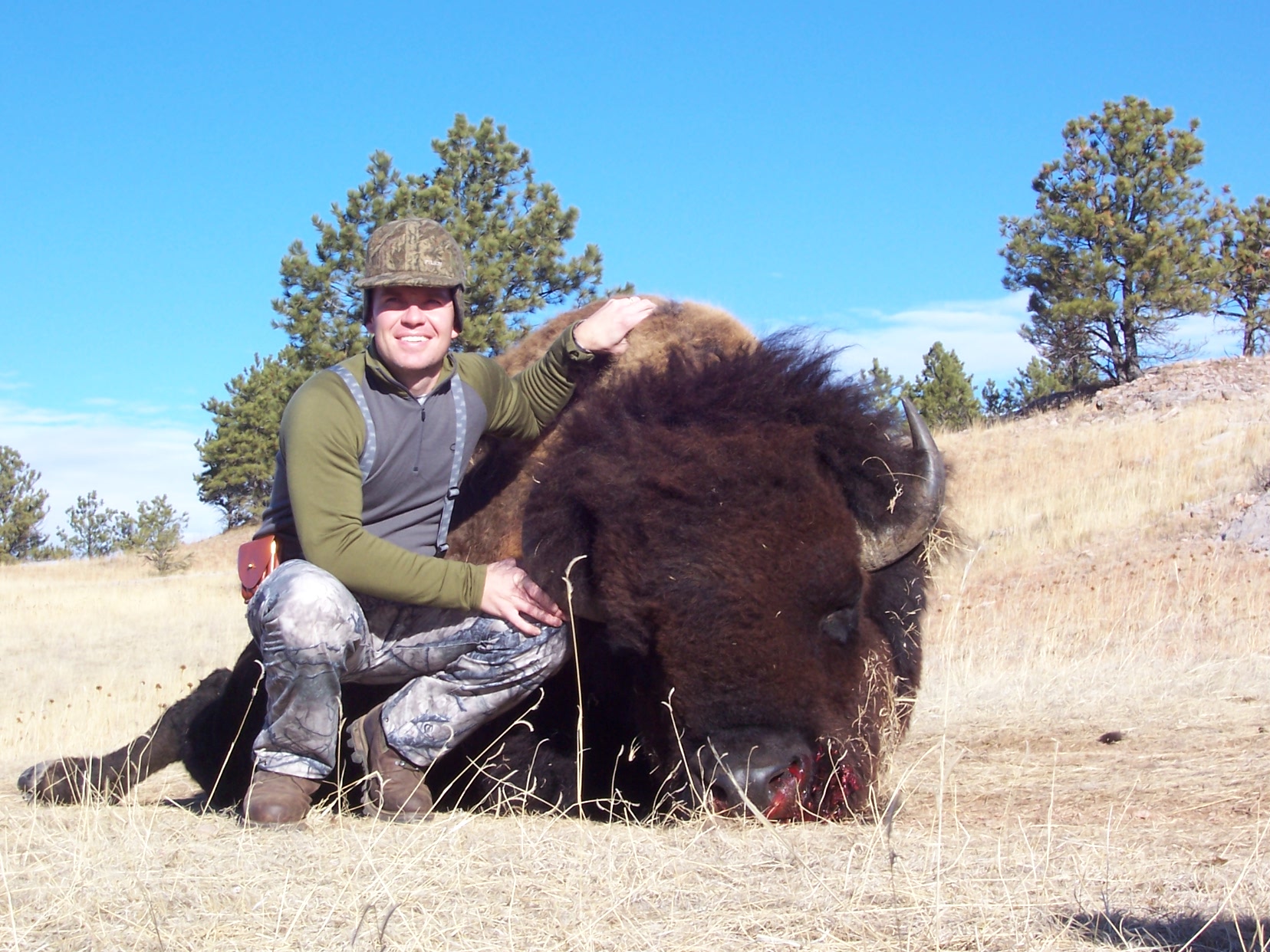 Buffalo hunting, South Dakota, Guided Bison hunt in South Dakota
