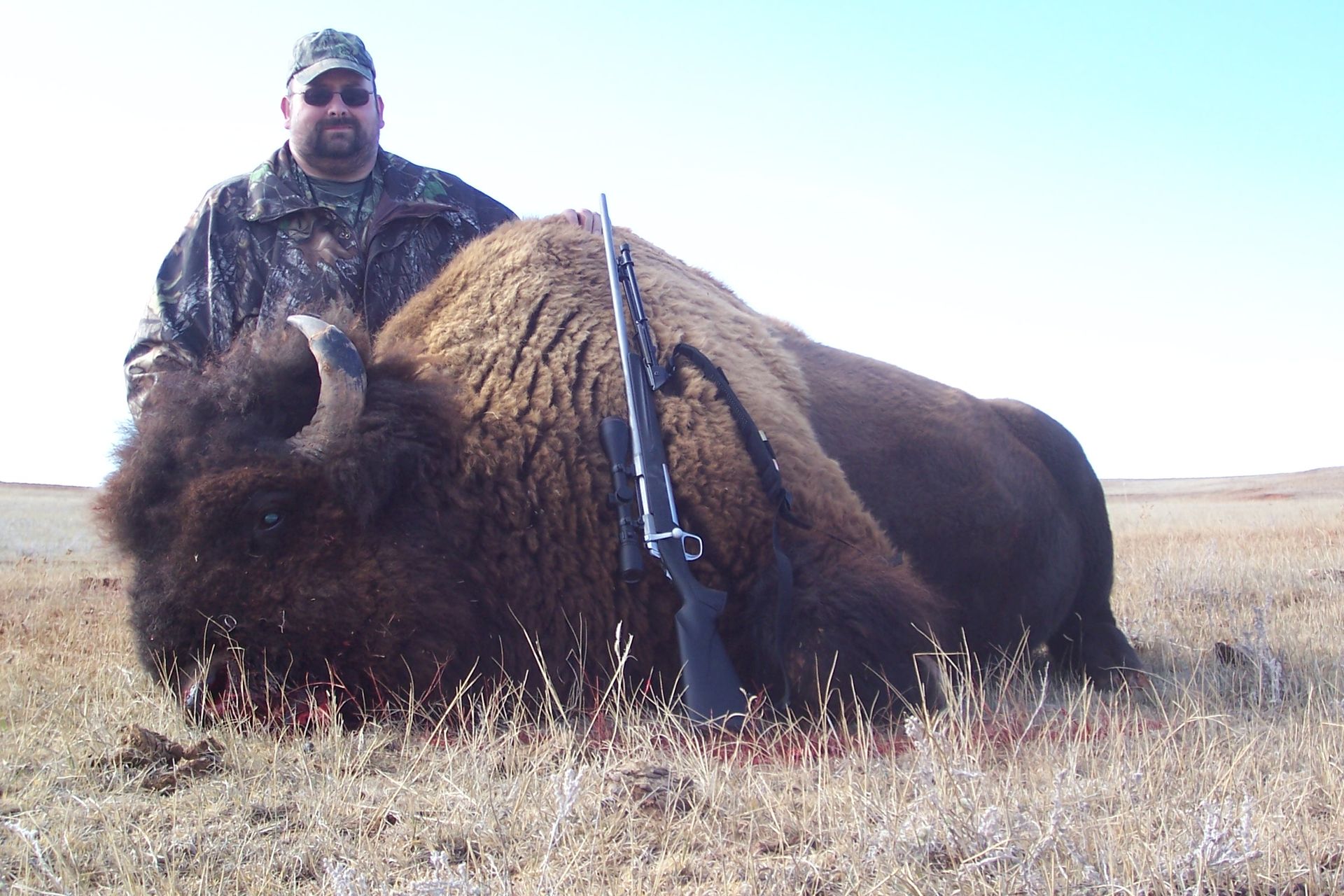 Buffalo hunting, South Dakota, Guided Bison hunt in South Dakota