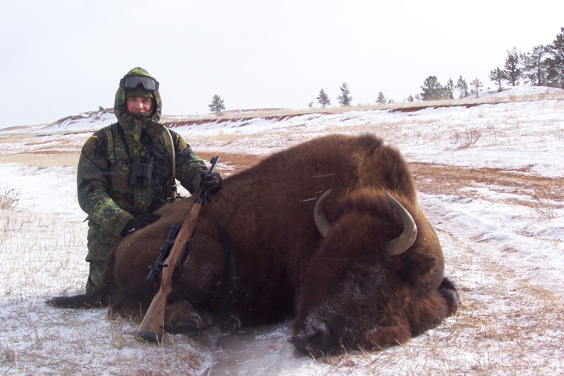 Buffalo hunting, South Dakota, Guided Bison hunt in South Dakota