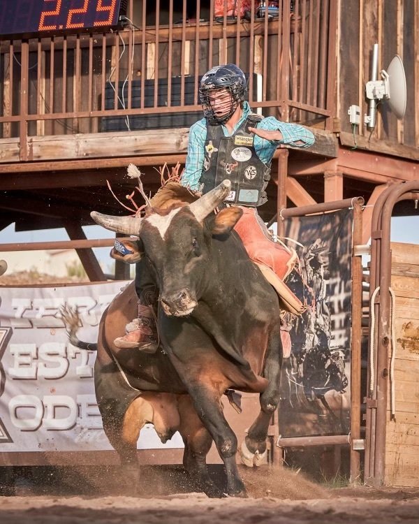 Our Next Bull Riding