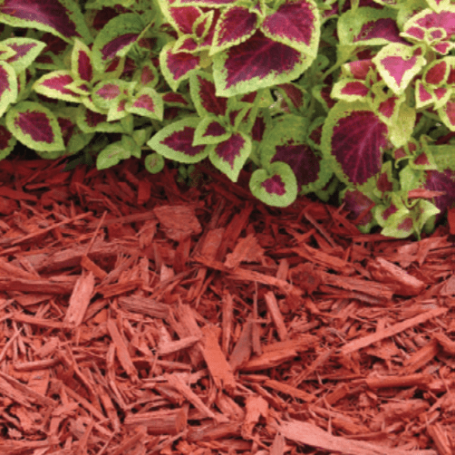 Mulch Melbourne, FL Simply Organic Lawn and Garden Center