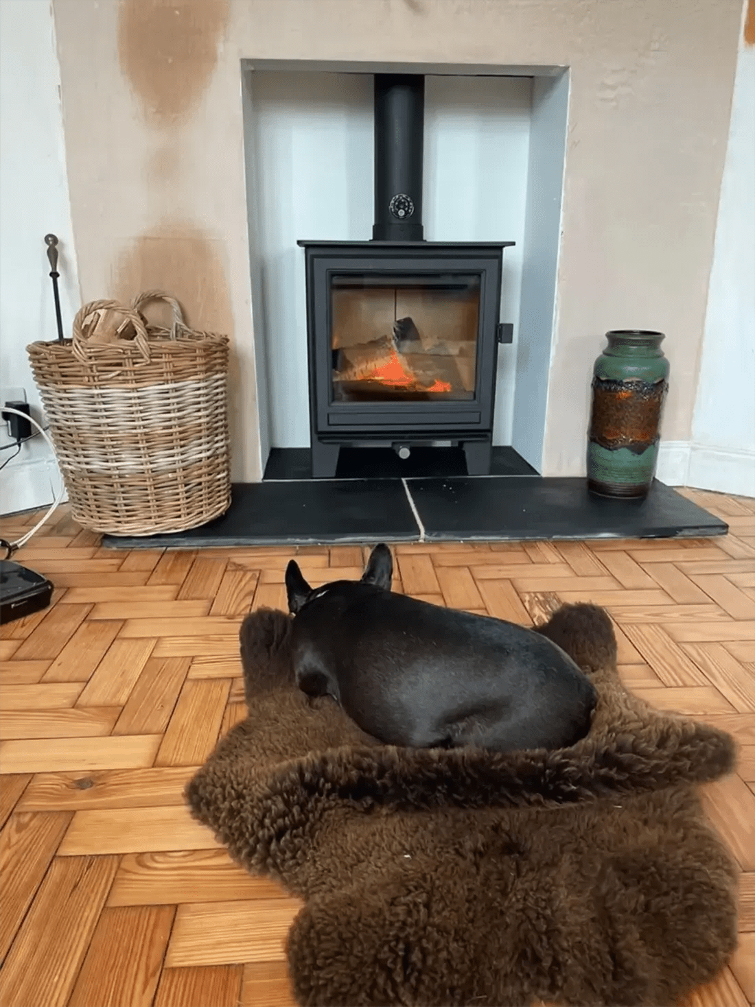 Winter Maintenance Tips for Your WoodBurning Stove