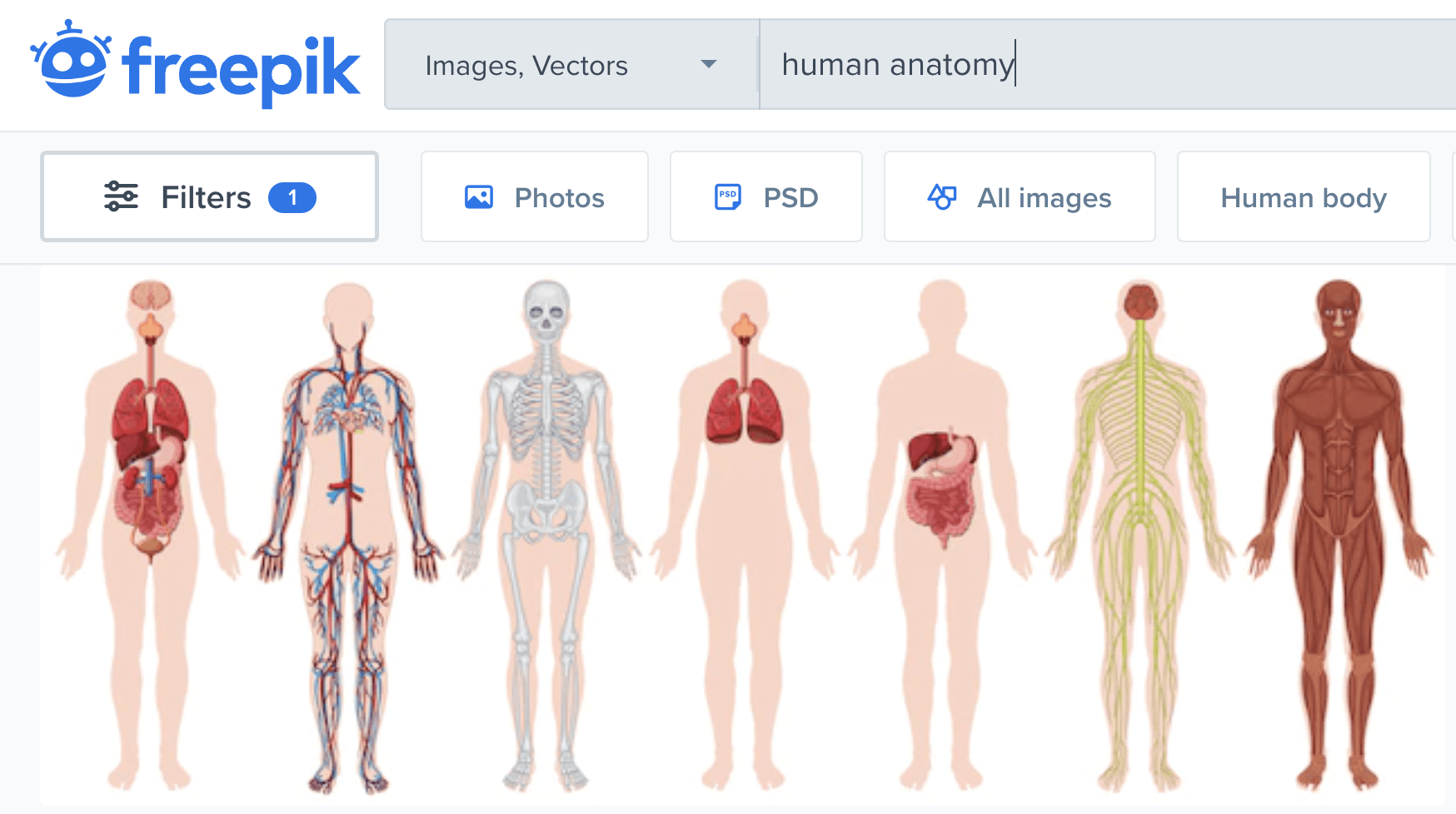 BioRender Alternatives A Scientific Illustration Software Comparison
