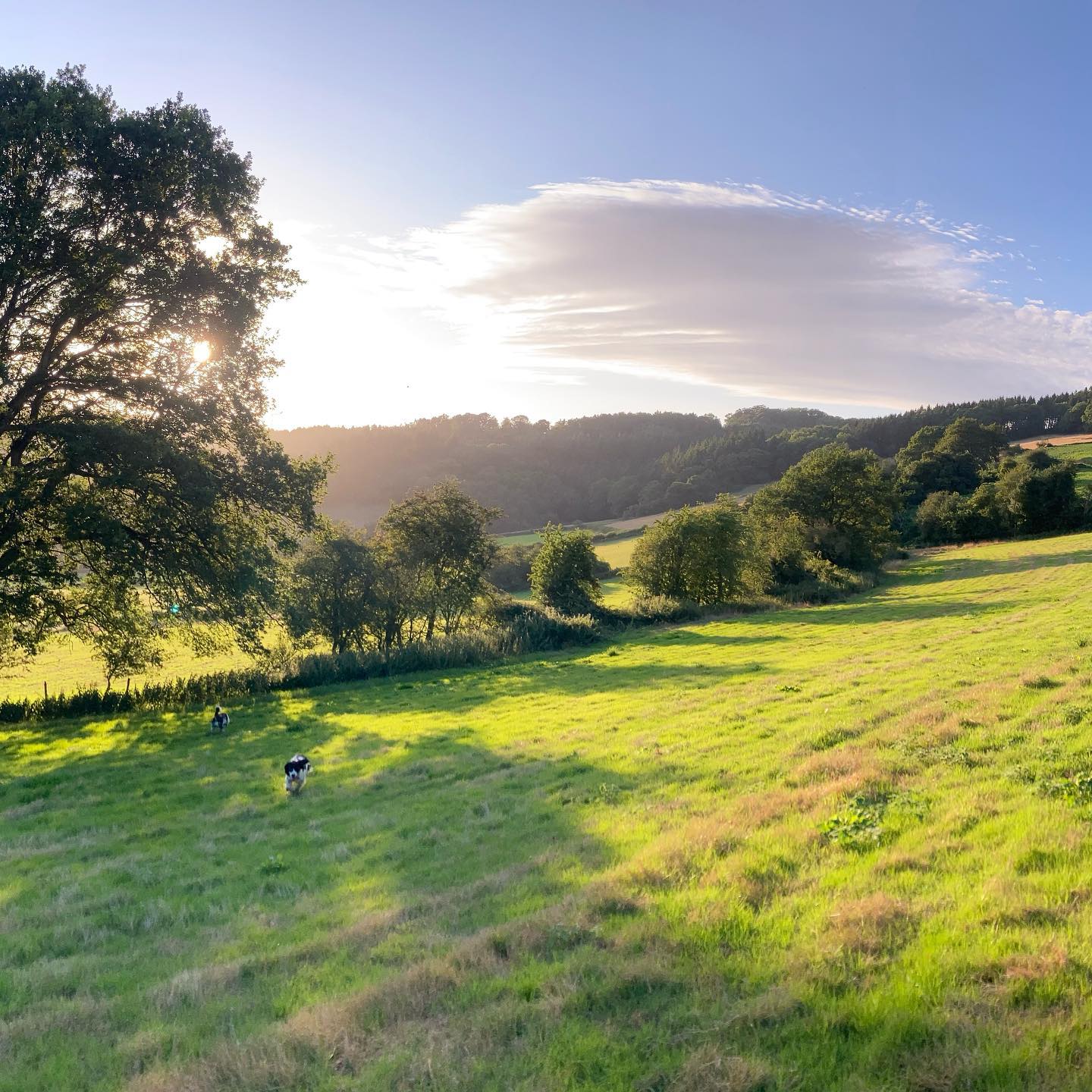 About Us Buckholt House Farm Glamping