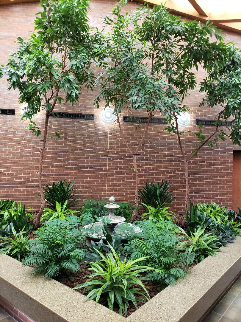 Photos Kansas City, MO Tropical Interiors, LLC The Plant People