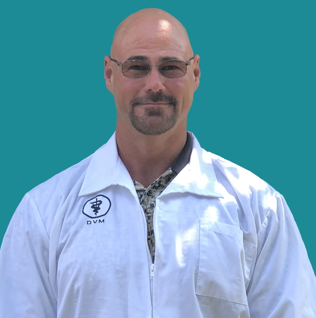 Premier Veterinary Care Home 8166780992