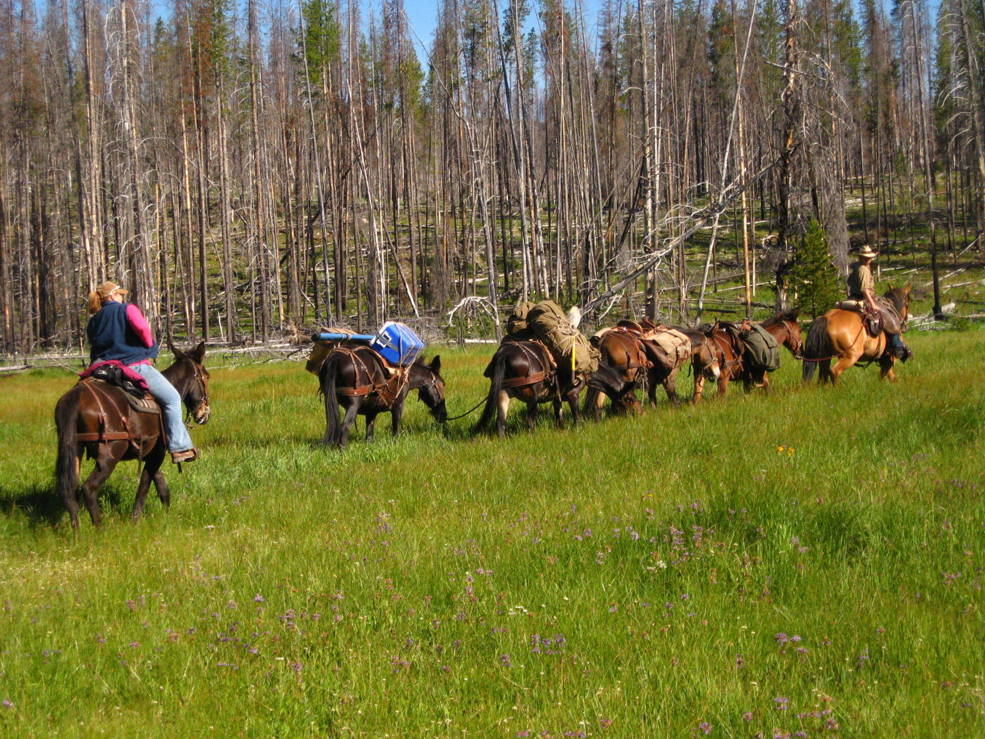 McCall,Idaho Fly Fishing Outfitters, Fly Fishing Guide, Backpacking, Horsebacking, Hiking