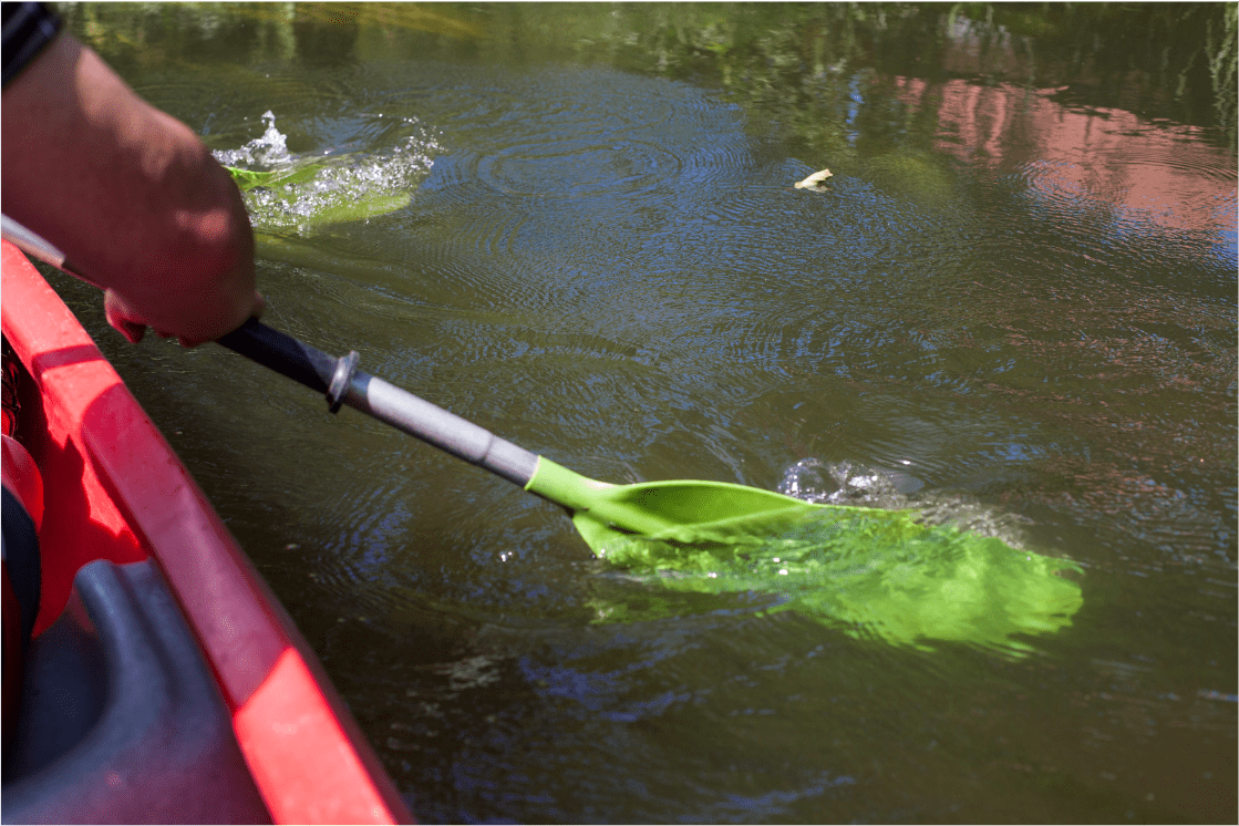 Home On the Lake Kayak Rentals
