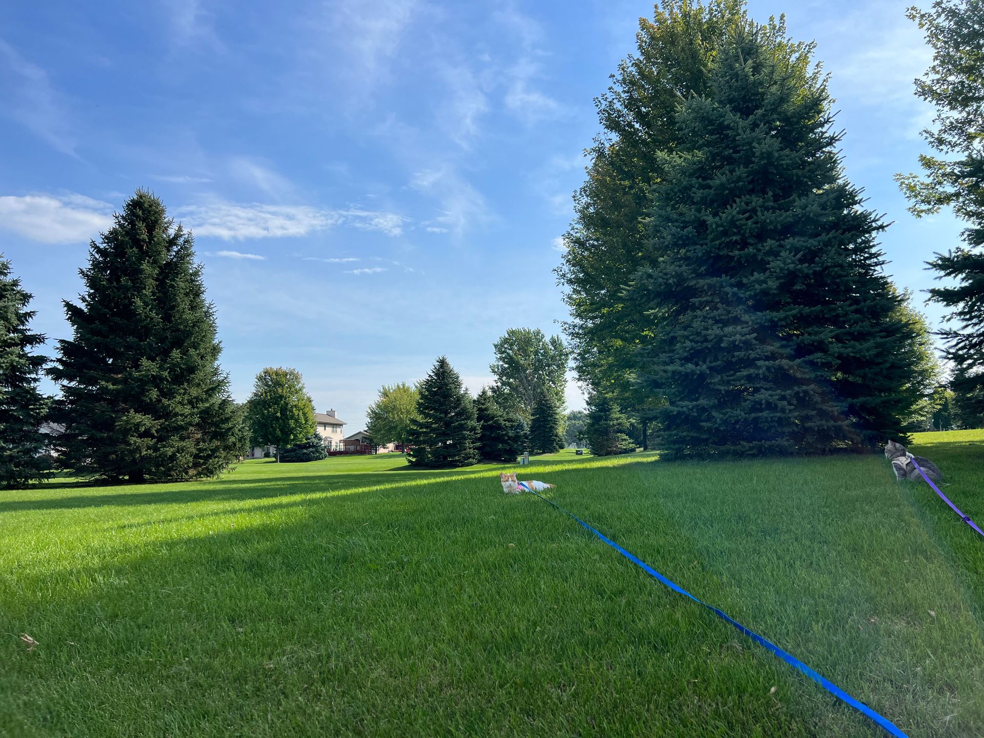 Home Fond Du Lac, WI Loof's Landscaping LLC