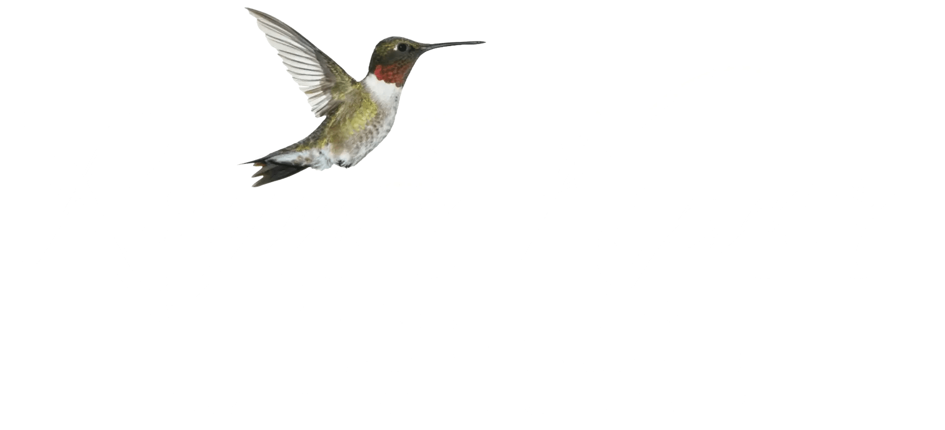 Contact Us Raymer Kepner Funeral Home and Cremation Services
