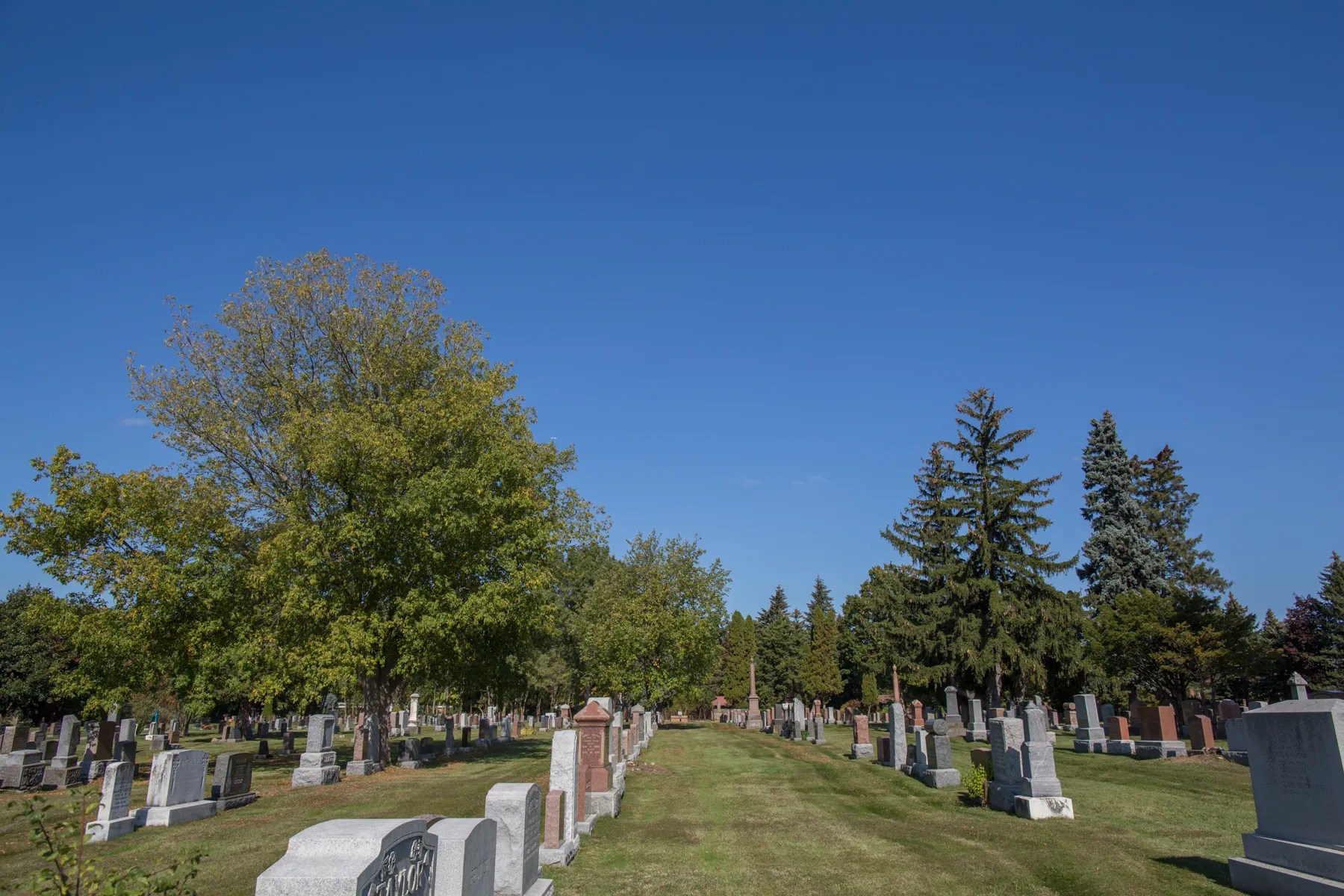 About Us Hillcrest Cemetery & Cremation