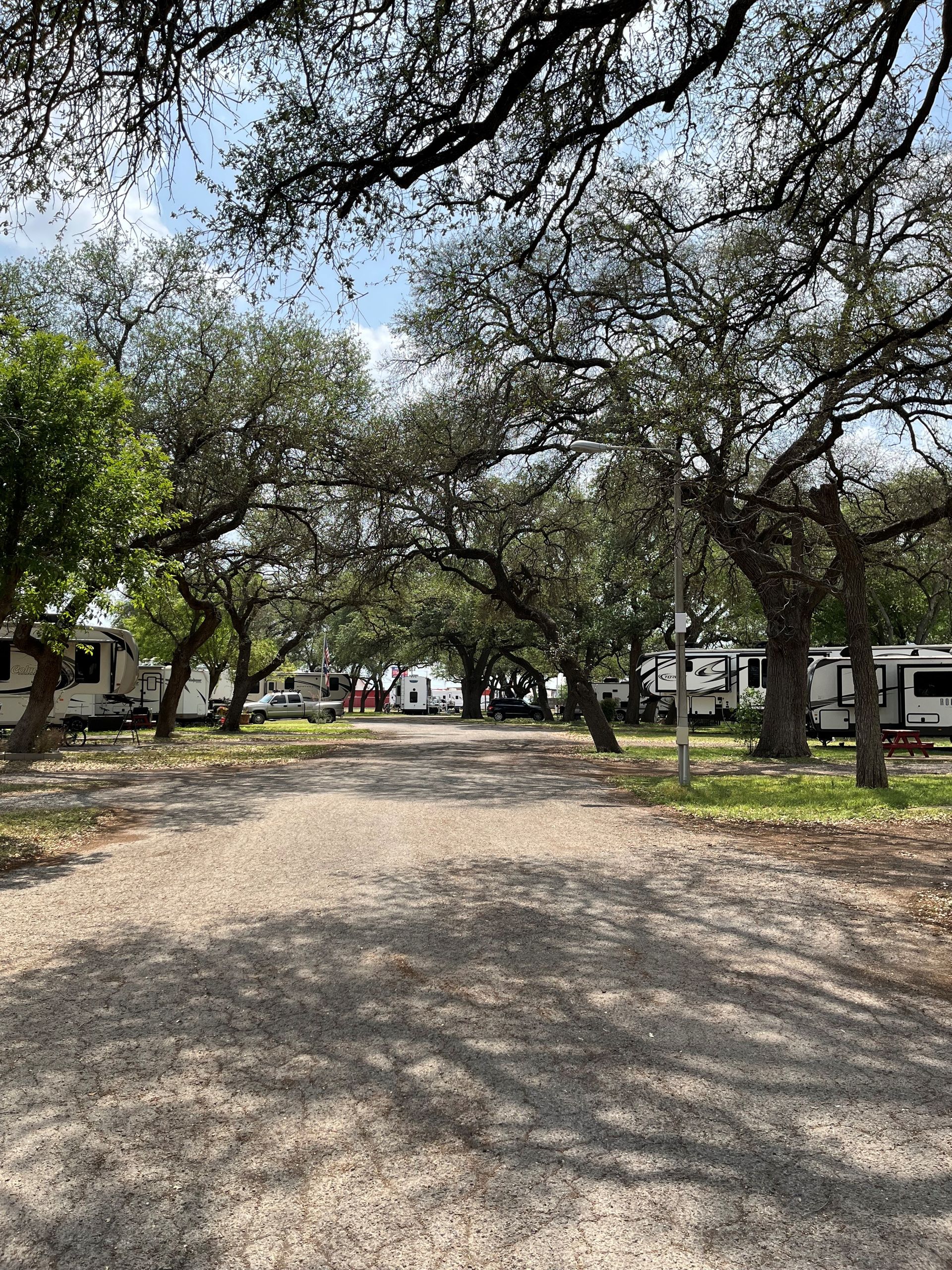AdultOnly RV Park Quail Springs Rv Park Uvalde, TX