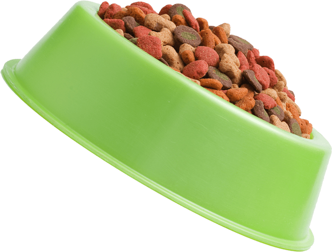 Domestic And Exotic Pet Care Springfield, MO Sunshine Animal Hospital