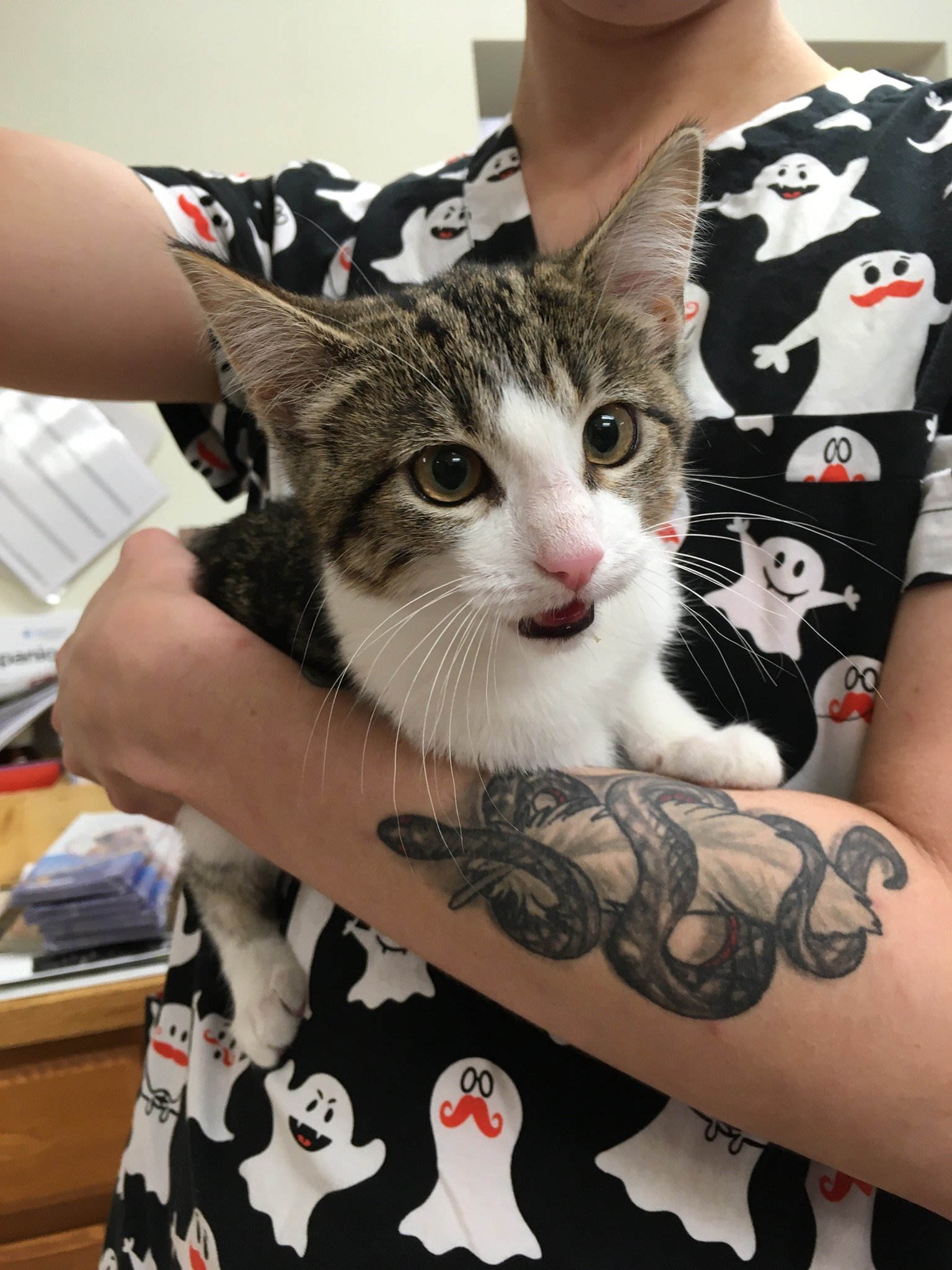 Pet Health Des Moines, IA Hickman Rd Veterinary Clinic