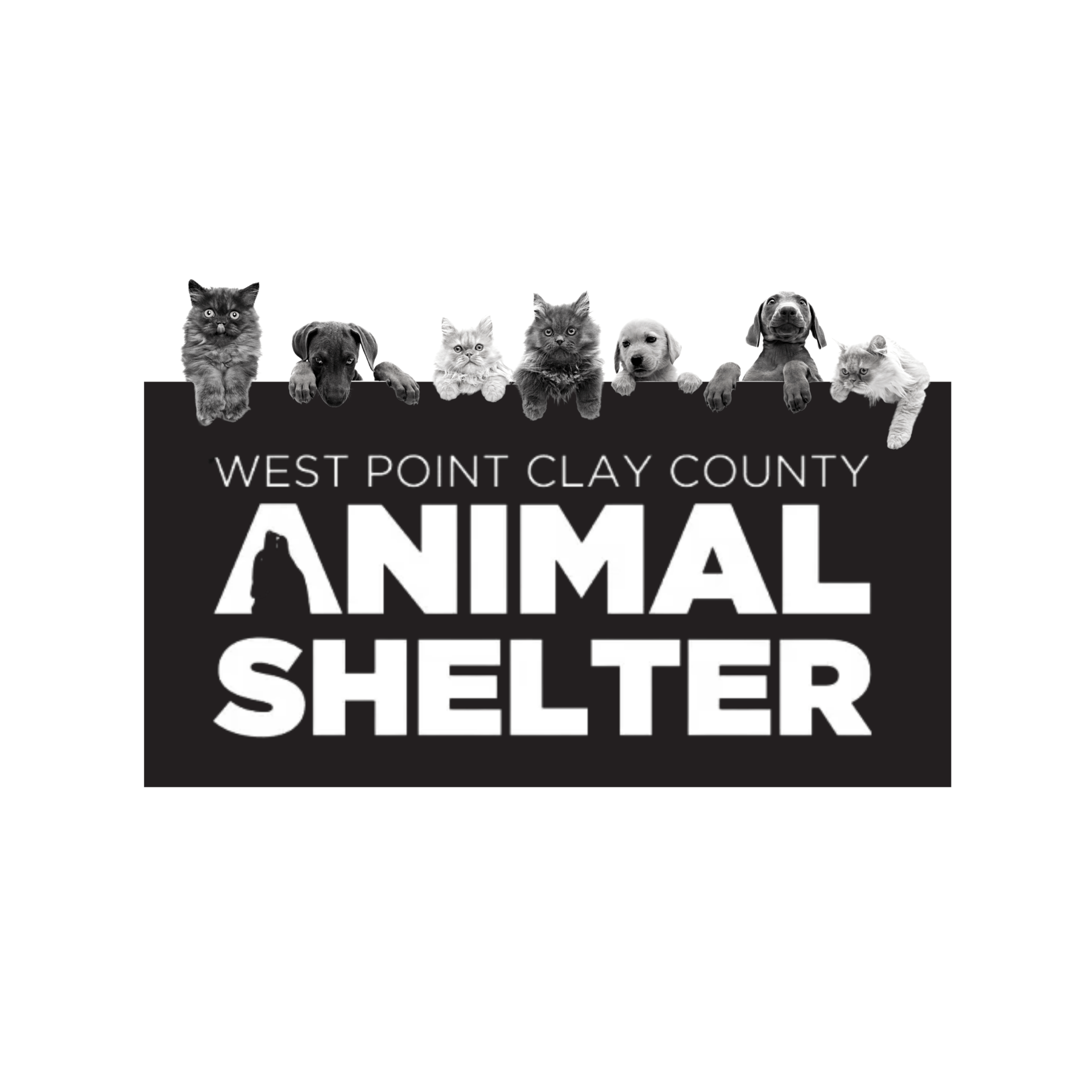 West Point Clay County Animal Shelter