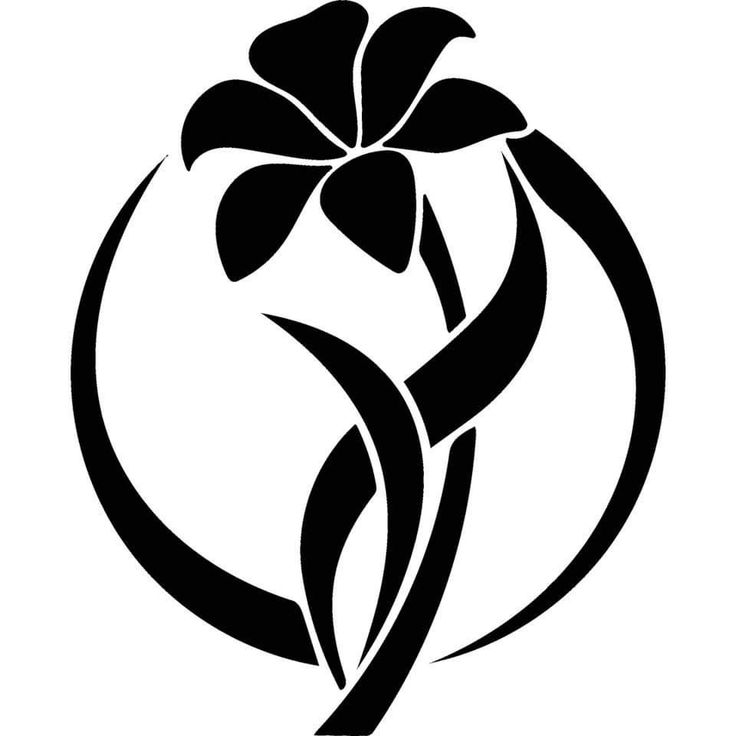 The Town Of Ronda North Carolina