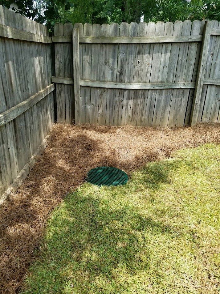 Service Photos CSRA Riggins Pest & Moisture Control Co.