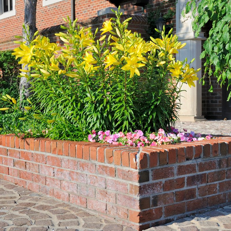 Hardscapes Spartanburg, SC Sunburst Nursery & Landscape