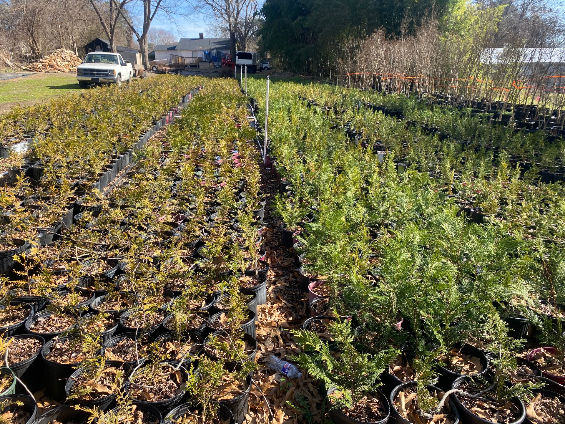 Products Spartanburg, SC Sunburst Nursery & Landscape