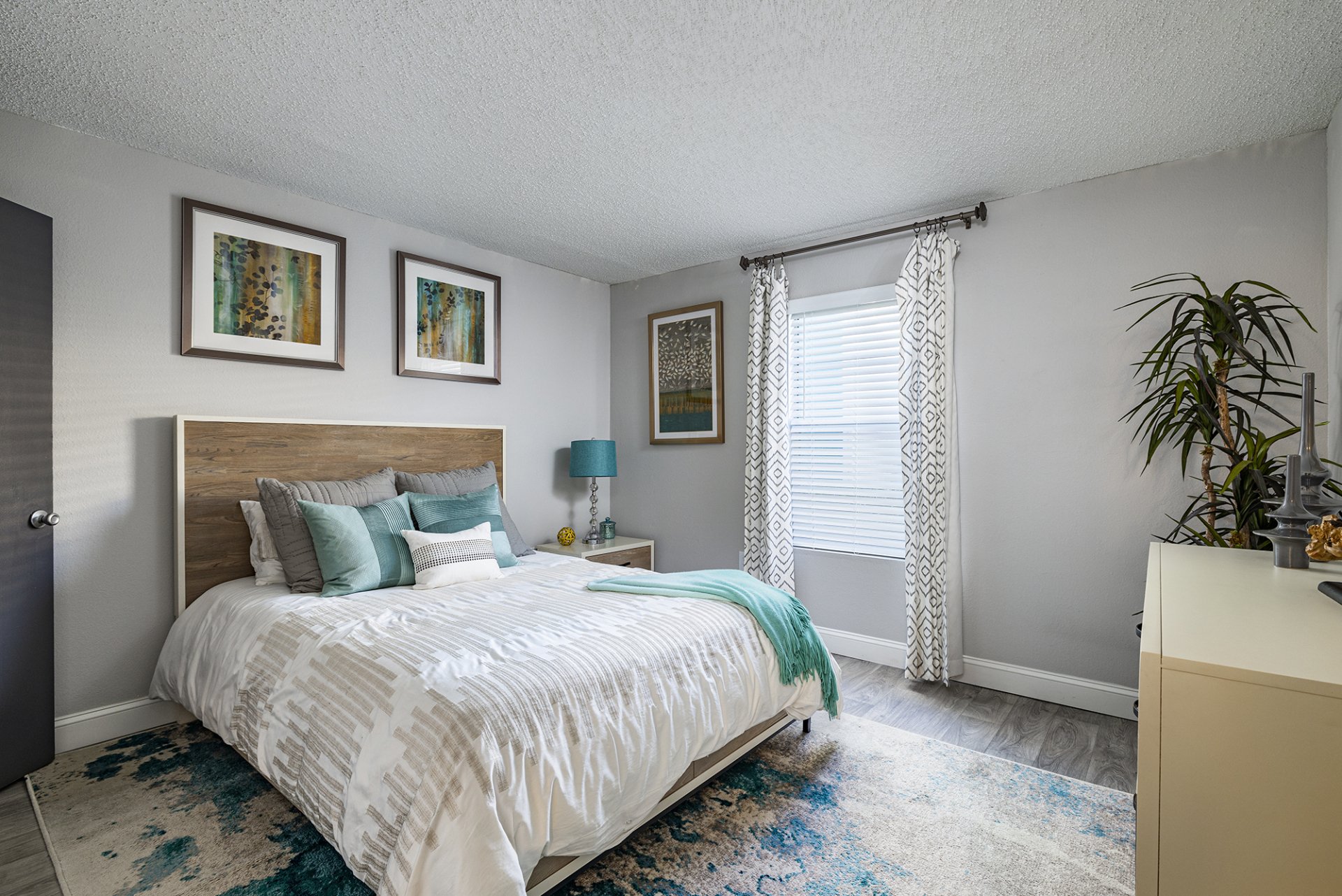 The Delmar Luxury Apartments in Tampa, FL