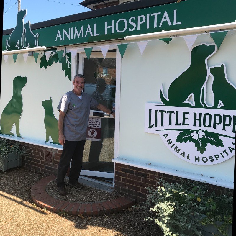 Pet advisories Little Hoppers Vets
