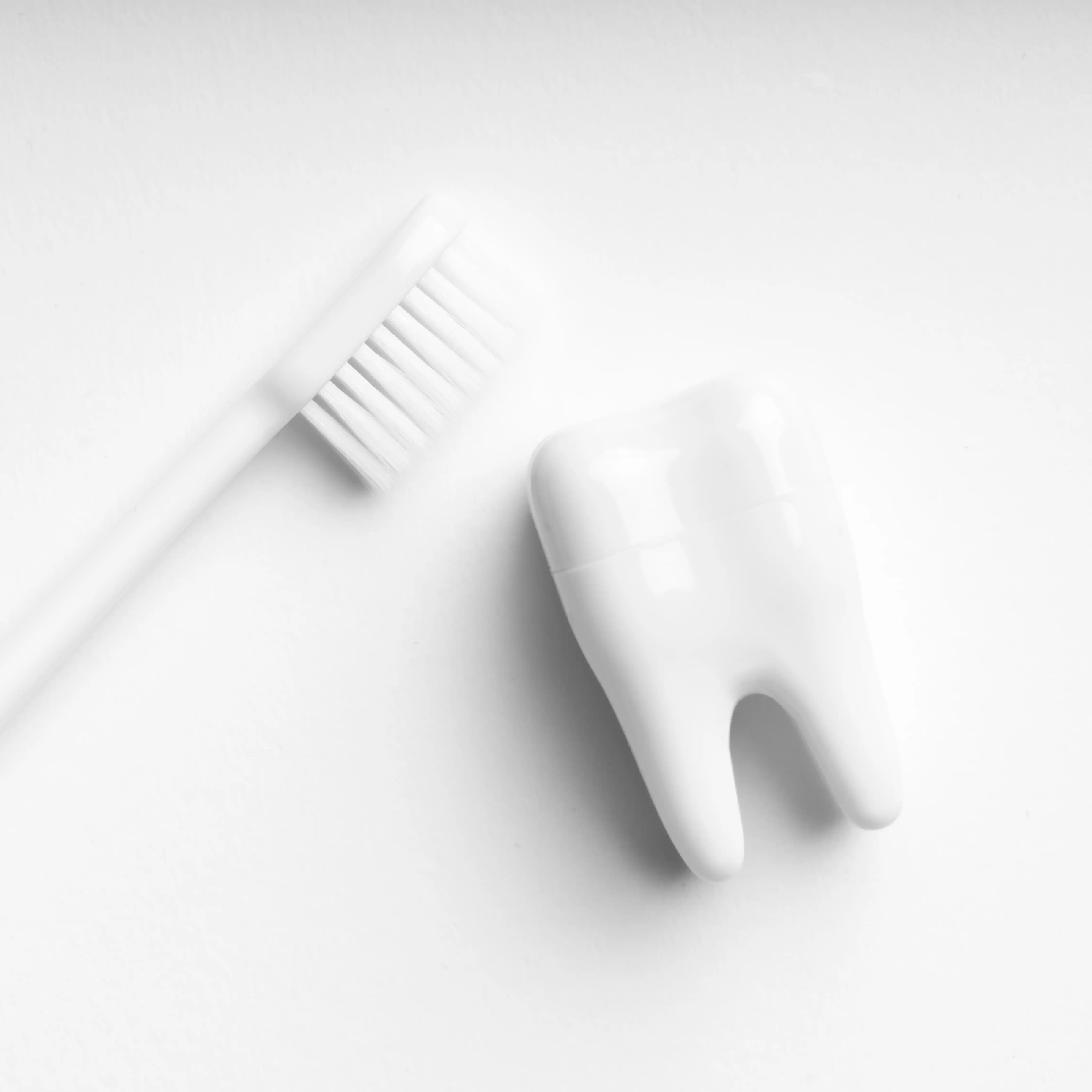 All Services Daley Dental Dentist in Quakertown, PA