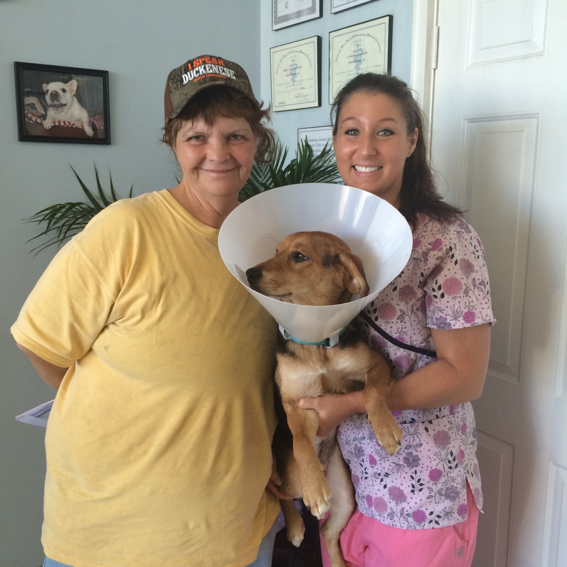 PostOperative Care for Feral Cats Alabama Animal Alliance, Inc.