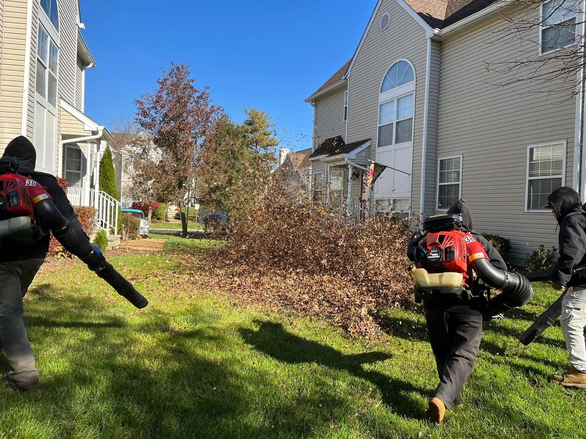Reasons to Schedule a Spring Yard Cleanup