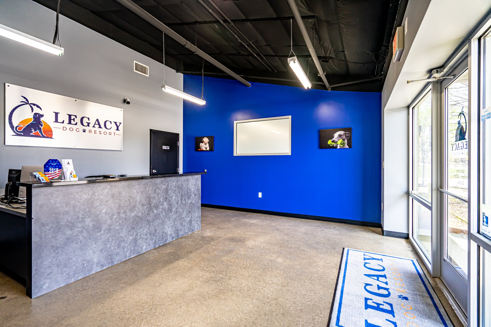 Contact Legacy Dog Resort 2146184501 Frisco, Celina, Allen, The