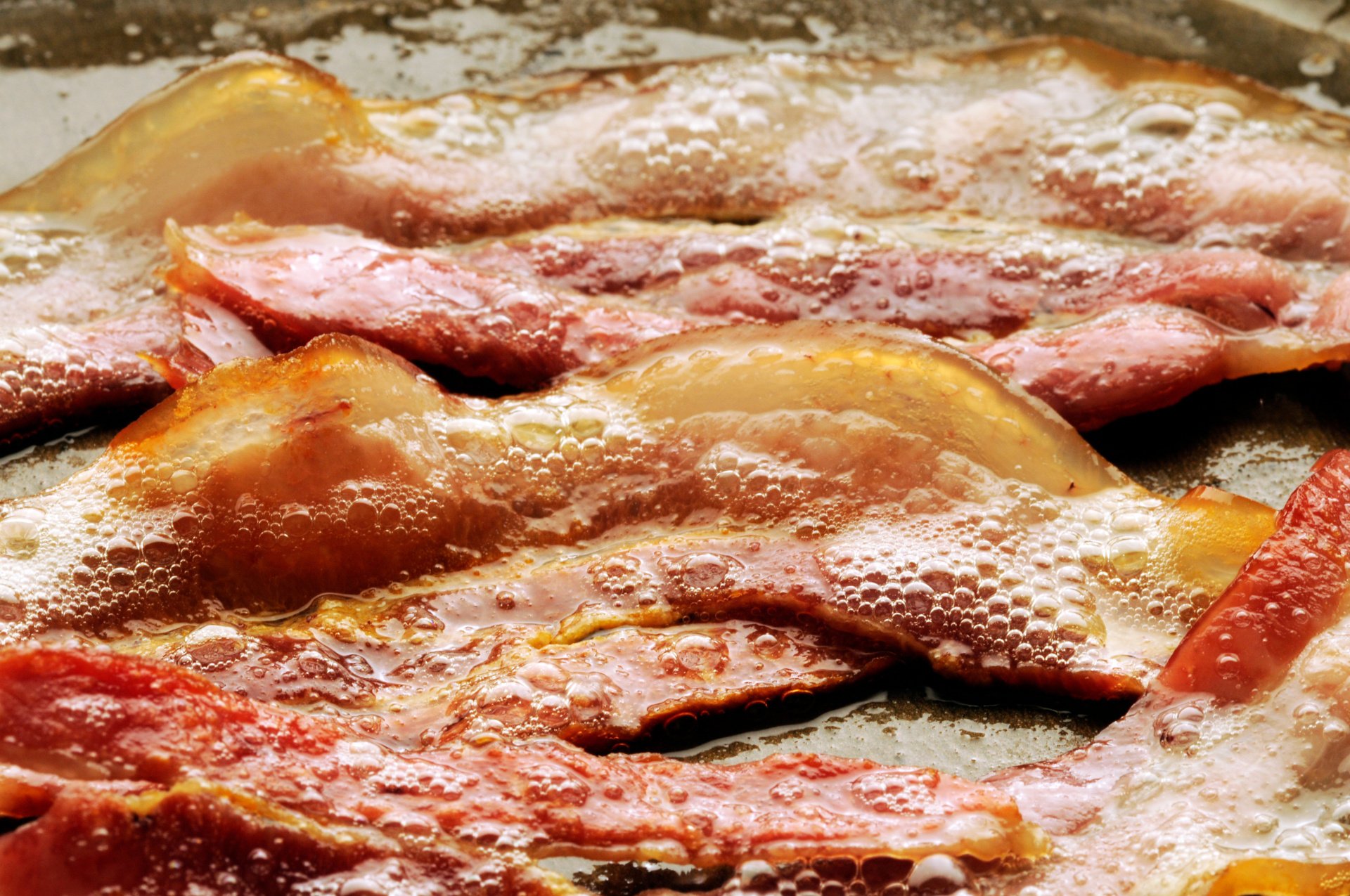 Top uses for leftover bacon grease Southern Green Industries