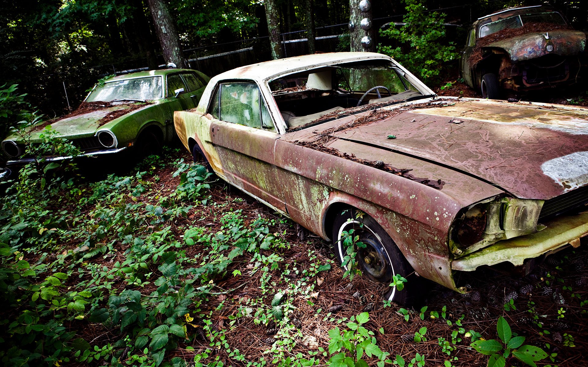 Cash for Junk Cars Gary Indiana Hammond Indiana Removal Near Me Gary