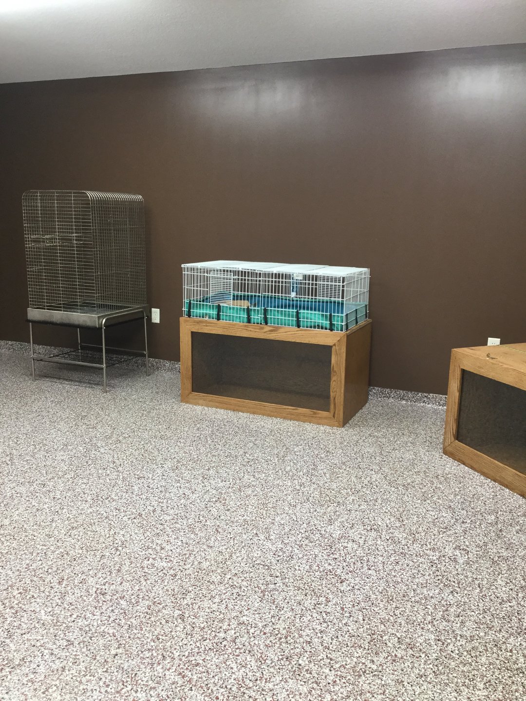 Services Camp Pet Vet