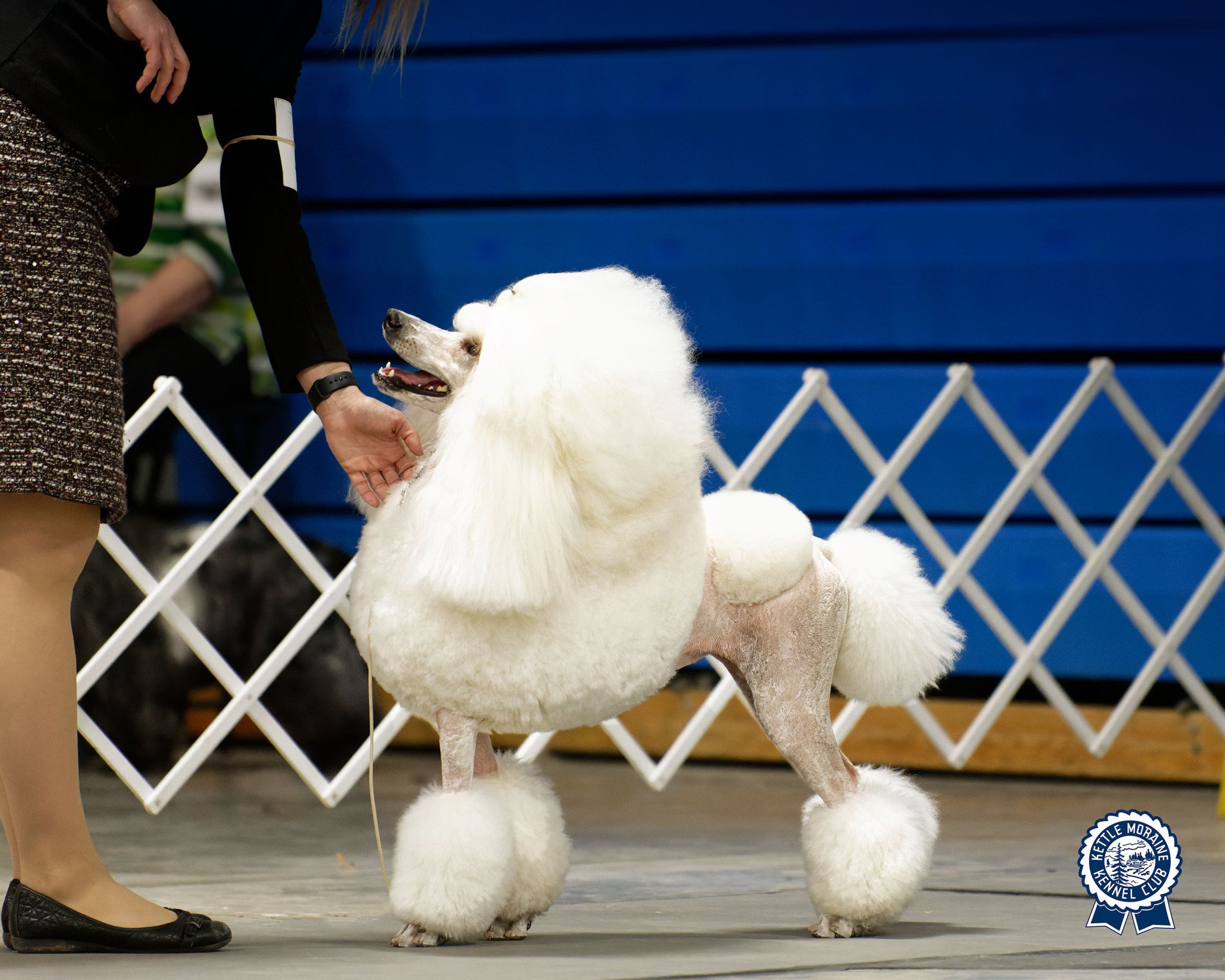 Kettle Moraine Kennel Club's 2022 Show Memories